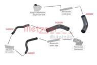 2420229 METZ - Przewód układu chłodzenia METZGER PSA/FIAT